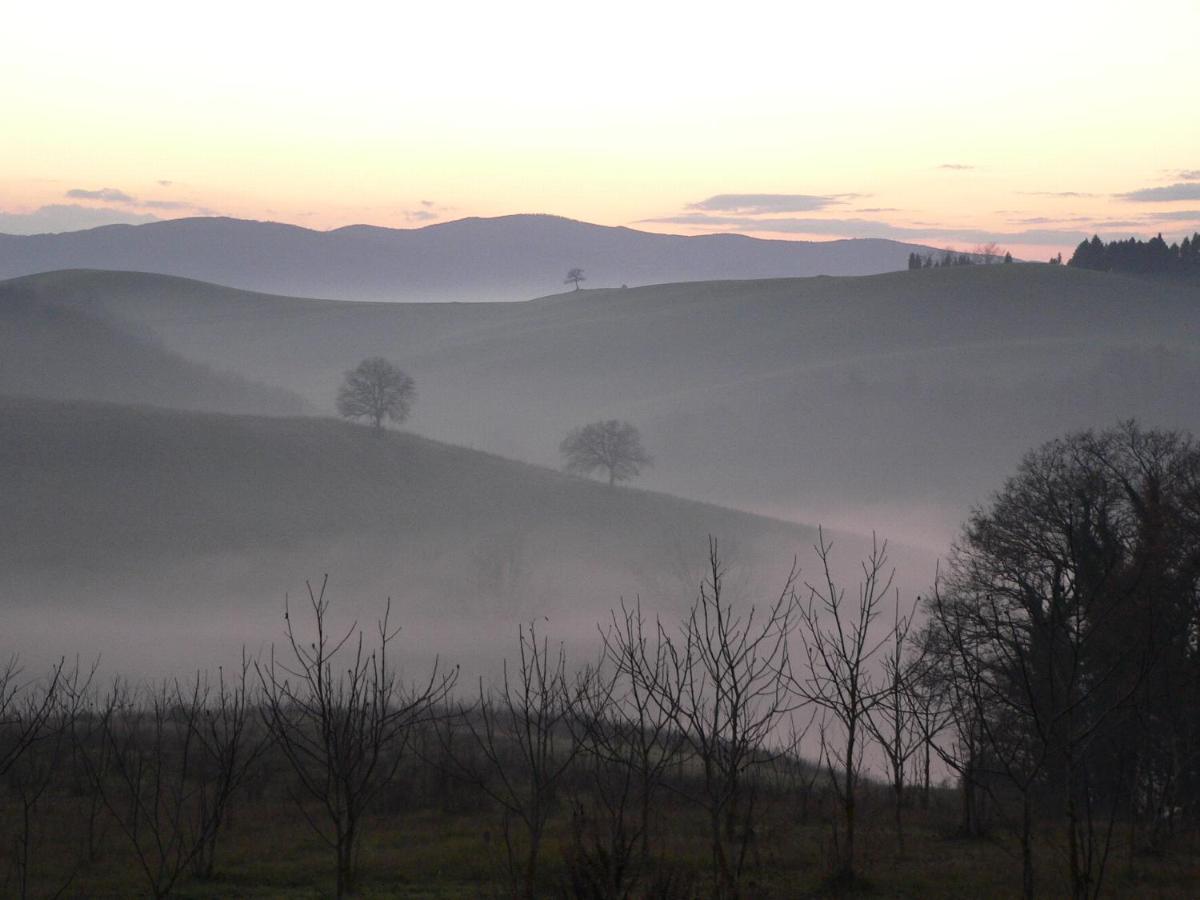 Farm stay Podere Sant'antonio *